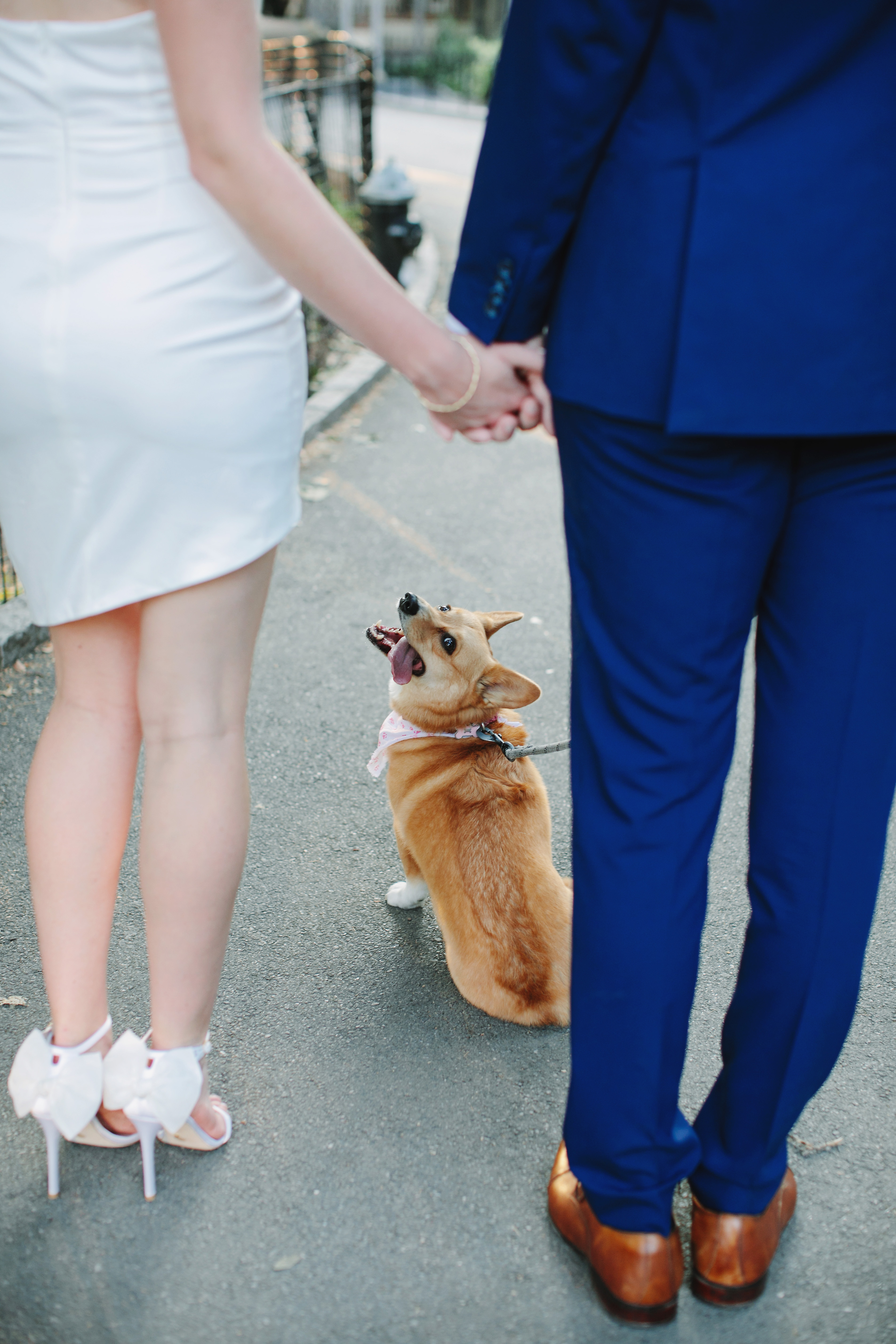 Engagement photo 11